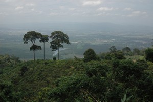 Chiang Mai
